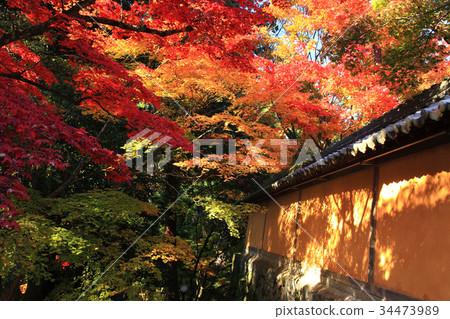 東湖東三山西明寺 34473989