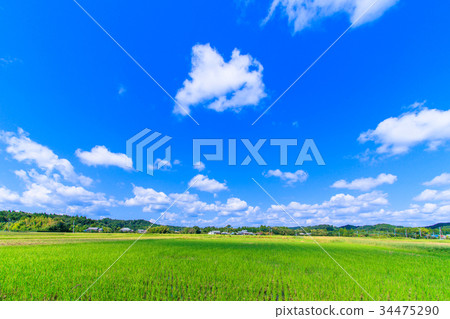 Shot around Kuwasawa Town Kaminosato Shot around Kuwasawa Town Kaminosato 34475290