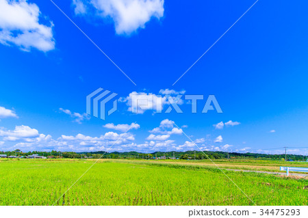 射擊Kuwasawa鎮Kaminosato 射擊Kuwasawa鎮Kaminosato 34475293