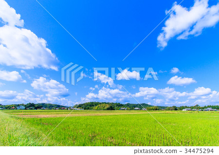 射擊Kuwasawa鎮Kaminosato 射擊Kuwasawa鎮Kaminosato 34475294
