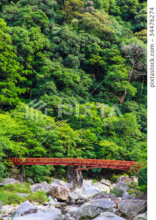 Wandering Wakayama Wandering Wakayama 34476274