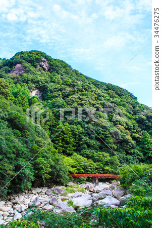 Wandering Wakayama Wandering Wakayama 34476275