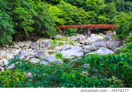 Wandering Wakayama 34476277