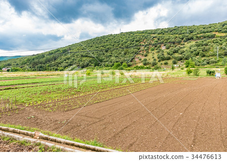 Calcedo，西班牙村莊的風景 34476613