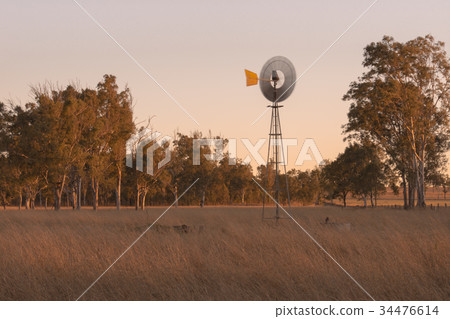 Windmill in a paddock 34476614