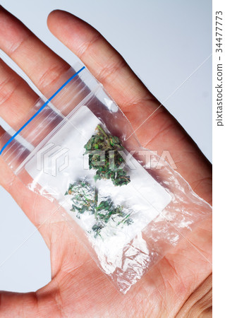 Hands of man a joint medicinal hemp Hands of man a joint medicinal hemp 34477773