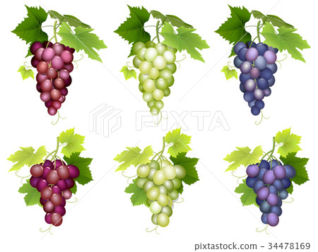 Bunch of grapes different varieties 34478169
