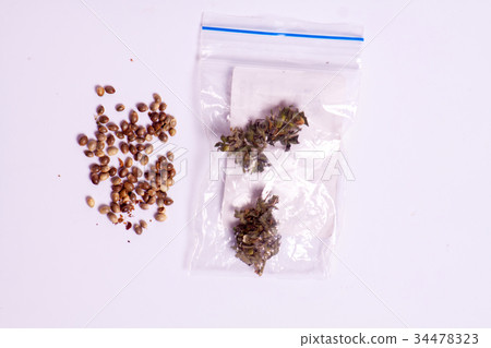 Medicinal cannabis with extract oil in a bottle Medicinal cannabis with extract oil in a bottle 34478323