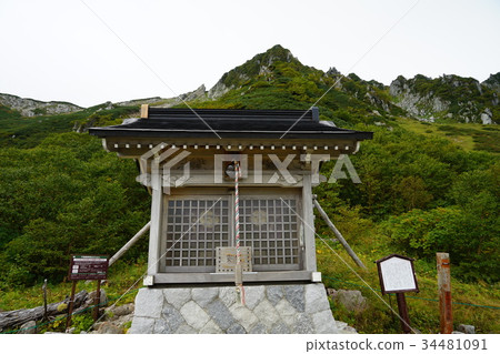 Senjojiki curl (Shinshu Komagatake Shrine) 34481091