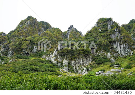 Senjojiki Curl（Central Alps Komagatake Ropeway） 34481480