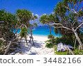 奄美大島崎海 34482166