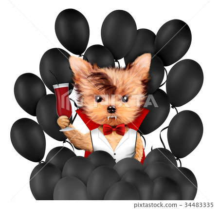 Funny Dracula. Halloween and Dead day concept. Funny Dracula. Halloween and Dead day concept. 34483335