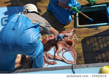 八達通釣魚 34483678