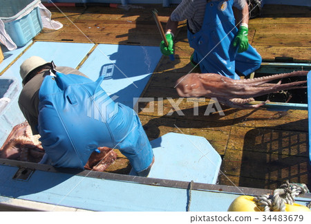 Octopus fishing 34483679