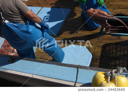 Octopus fishing 34483680