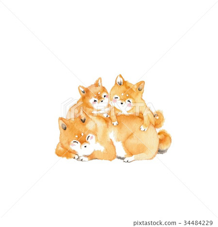 三隻狗聚集 34484229