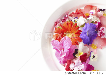 Edible Flower 34484417
