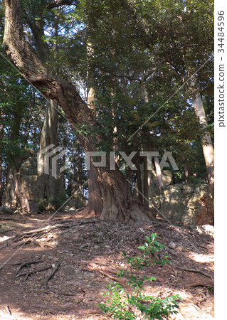 Tenshiro癌症寺仍然是Rui Shrine 34484596