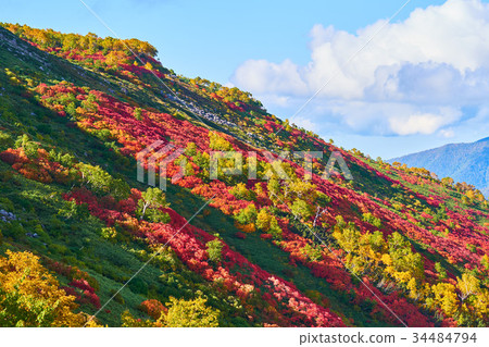 Autumn leaves seen from Ginsendai Akadake mountain trail Autumn leaves seen from Ginsendai Akadake mountain trail 34484794