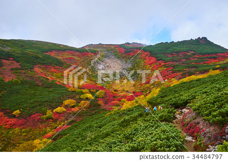 Autumn leaves seen from Ginsendai Akadake mountain trail 34484797