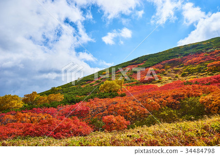 從Ginsendai Akadake山行跡看見的秋葉 34484798