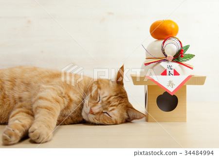 Cat and Kagami 34484994