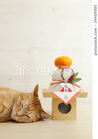 貓和Kagami 34484995