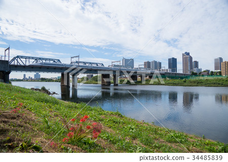 Cluster N700 across the cluster amaryllis and Tama River bridge 34485839