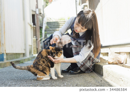 High school girl cat attending school 34486384