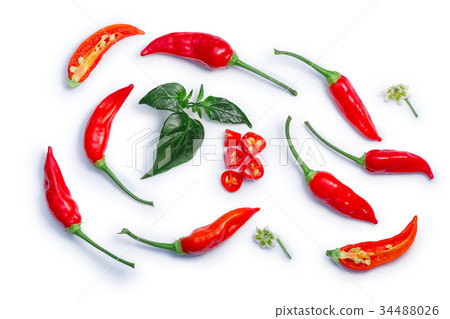 Aji Brazilian Bonanza peppers, paths, top view 34488026