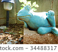 Frog thinking 34488317
