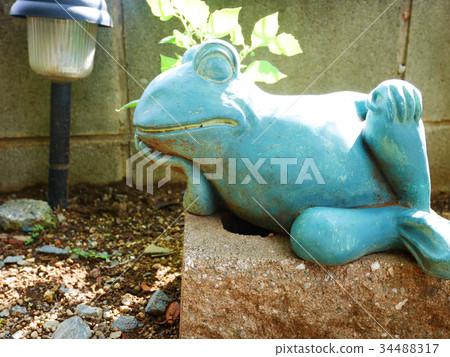 Frog thinking 34488317