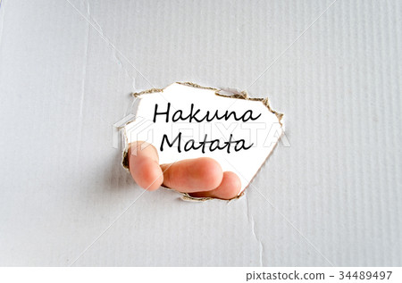 Hakuna matata text concept 34489497