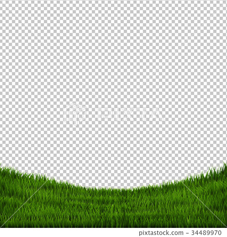 Grass Border Isolated Grass Border Isolated 34489970