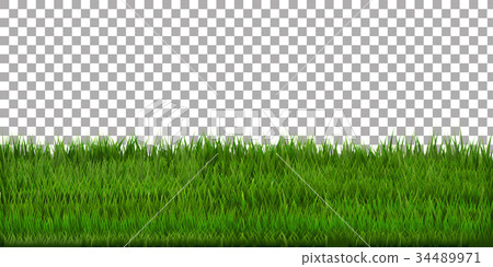 Grass Border With Isolated Background 34489971