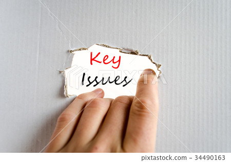 Key issues Text Concept 34490163