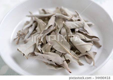 白色賢哲乾葉子 白色賢哲乾葉子 34490418