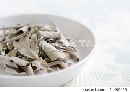 白色賢哲乾葉子 白色賢哲乾葉子 34490419