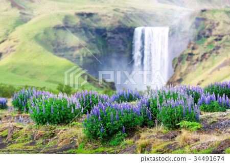 Famous Skogafoss waterfall 34491674
