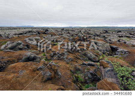 Moss field in Iceland Moss field in Iceland 34491680