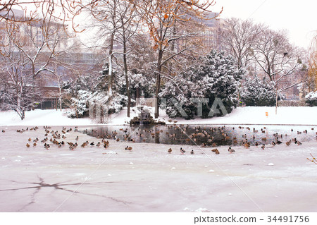 Winter city park Winter city park 34491756