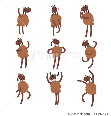Funny cartoon sheep character set, brown sheep 34492371