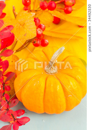 pumpkins on blue table 34492830