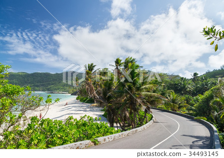Coral sandy beach among the palm along the road. Coral sandy beach among the palm along the road. 34493145