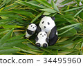 Panda parent and child 34495960