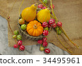 Pumpkin and Ryukyu sparrows 34495961