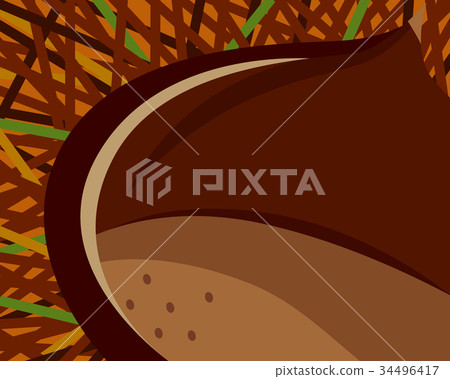 Illustration of chestnut 34496417