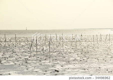 Mud texture on the beach with sunset lighting. Mud texture on the beach with sunset lighting. 34496962