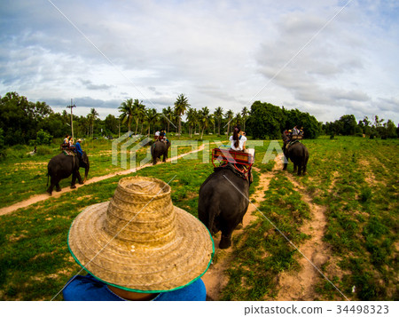 ride an elephent in elephant camp of Thailand ride an elephent in elephant camp of Thailand 34498323