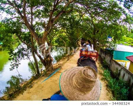 ride an elephent in elephant camp of Thailand ride an elephent in elephant camp of Thailand 34498324